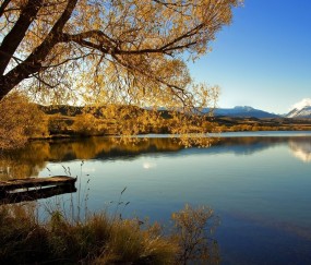 小孩发烧可以吃鸡蛋馒头吗