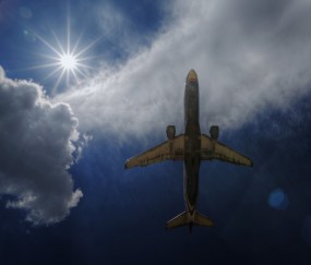 怀孕初期牙疼喝蒲公英水