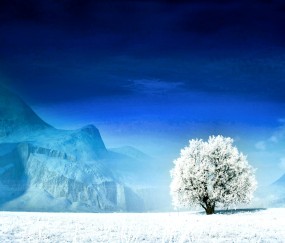 怀孕初期夜晚感觉心急