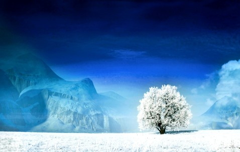 怀孕初期身上没劲困