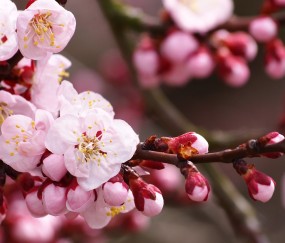 怀孕初期睡觉后背出汗