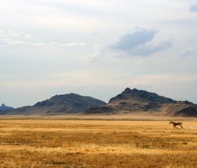 怀孕初期熊会痛吗