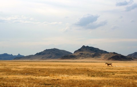 小孩发烧青天河咋推