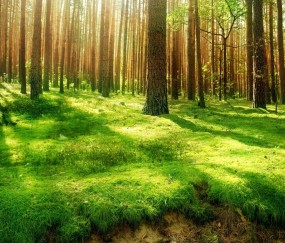 怀孕初期分泌物有点红正常吗