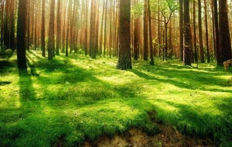 怀孕初期吐完之后喉咙异物感