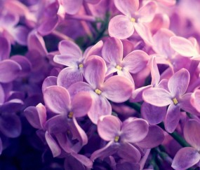 女生怀孕初期怎么照顾