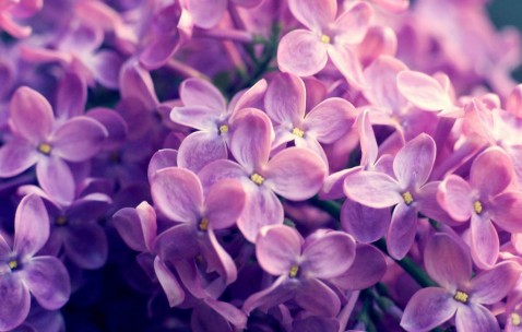 怀孕初期为什么梦里高潮