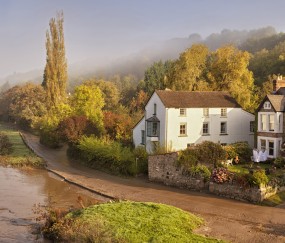 怀孕初期有哪些发育