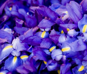 怀孕初期吸了水烟