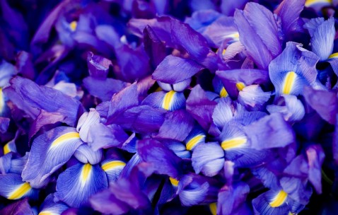 怀孕初期想睡睡不着想上大便