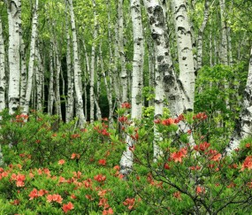 怀孕初期可以一起洗澡吗