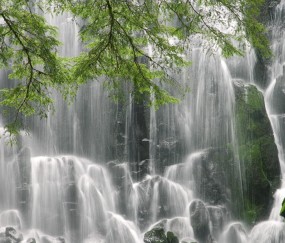 小孩发烧嘴唇周围发发青