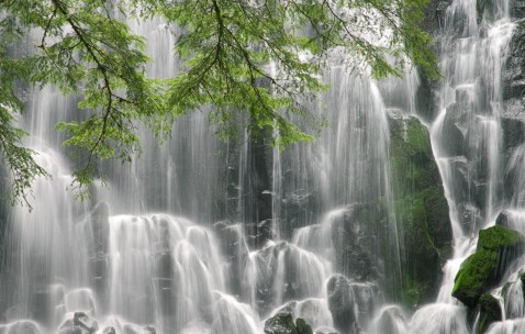 小孩发烧嘴唇周围发发青