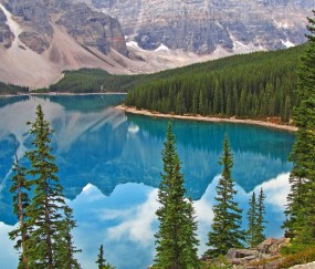 怀孕初期整天肚饿是怎么回事