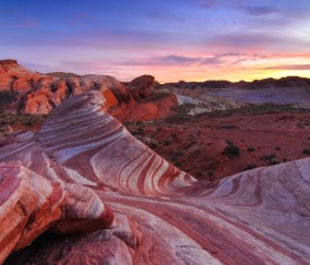 怀孕初期可以吃侧鱼淮山汤吗