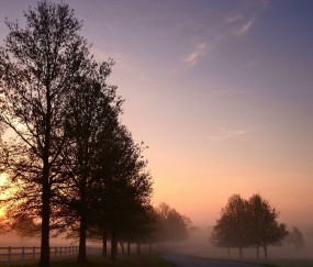 广医三院试管成功率