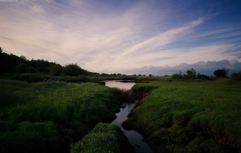 小孩发烧是硬扛还是吃退烧药