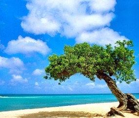 怀孕初期有来好事的感觉