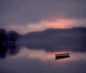怀孕初期有像紫菜一样的东西