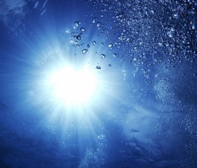 怀孕初期肚皮有红点点