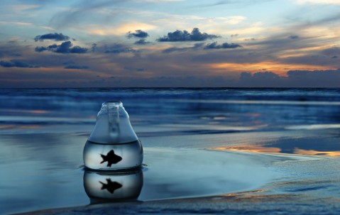 怀孕初期吃医院发的叶酸可以么