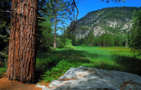 小孩咳嗽厉害反复发烧四天