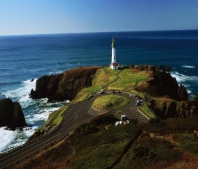 怀孕初期吃牙疼药怎么办