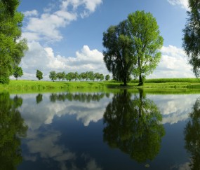 小孩咳嗽发烧能吃葱油饼吗