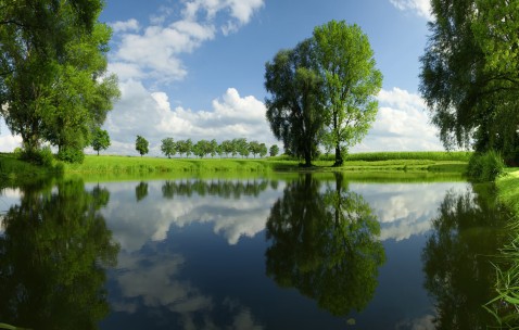 小孩咳嗽发烧能吃葱油饼吗