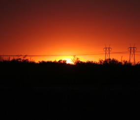 试管婴儿方案的成功率