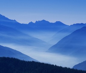 怀孕初期用排卵试纸测强阳吗