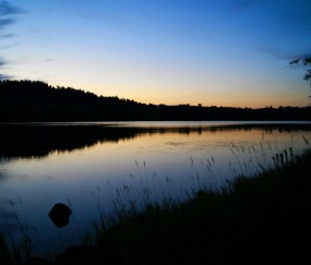 怀孕初期血糖低有什么症状有哪些