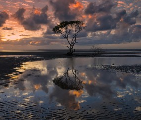 怀孕初期喝酒对胎儿有影响
