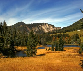 怀孕初期头晕会不会生化妊娠