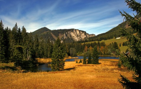怀孕初期服了头孢地尼胶囊吗