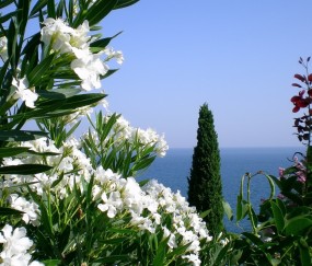 怀孕初期保胎期间能坐车吗