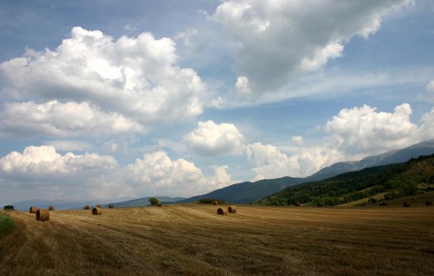 29岁做试管婴儿成功率