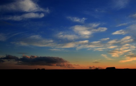 小孩发烧咳嗽可以吃姜么