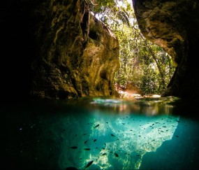 怀孕初期吃一只螃蟹没事吧