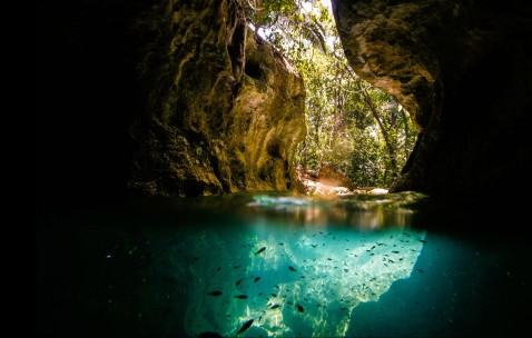 怀孕的初期症状哪些地方会疼