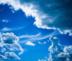 怀孕初期梦见好多苍蝇