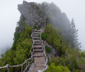 怀孕初期胃口很好是男孩吗