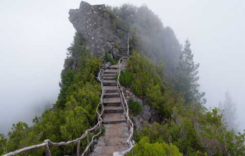 小孩白血病会持续发烧吗