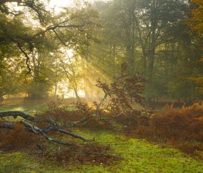 怀孕初期分泌物减少正常吗