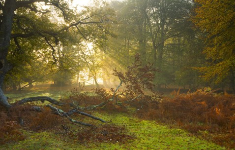 怀孕初期什么药是滑胎的