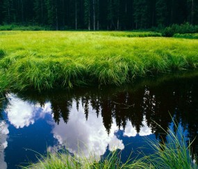 怀孕初期可能会拉肚子吗