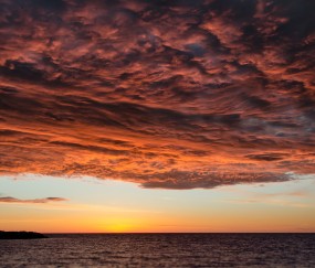小孩咳嗽发烧可以吃川贝炖梨么